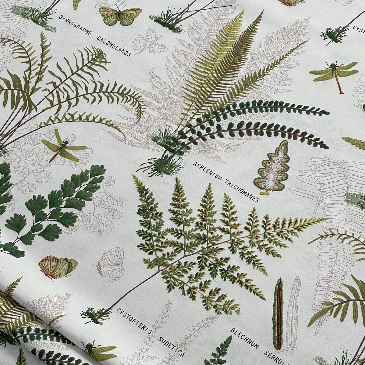 Traditional English Roman Blinds / Botanical Pattern - Botany Fern Maidenhair / Custom - Made to Measure / Home Decor