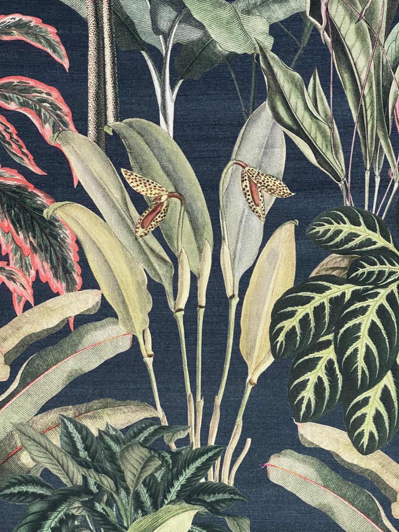 Exquisite Rainforest Cotton Fabric - Bring the Outdoors Inside