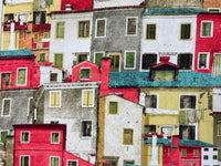 Thumbnail for Colorful houses with green shutters in a close-up view