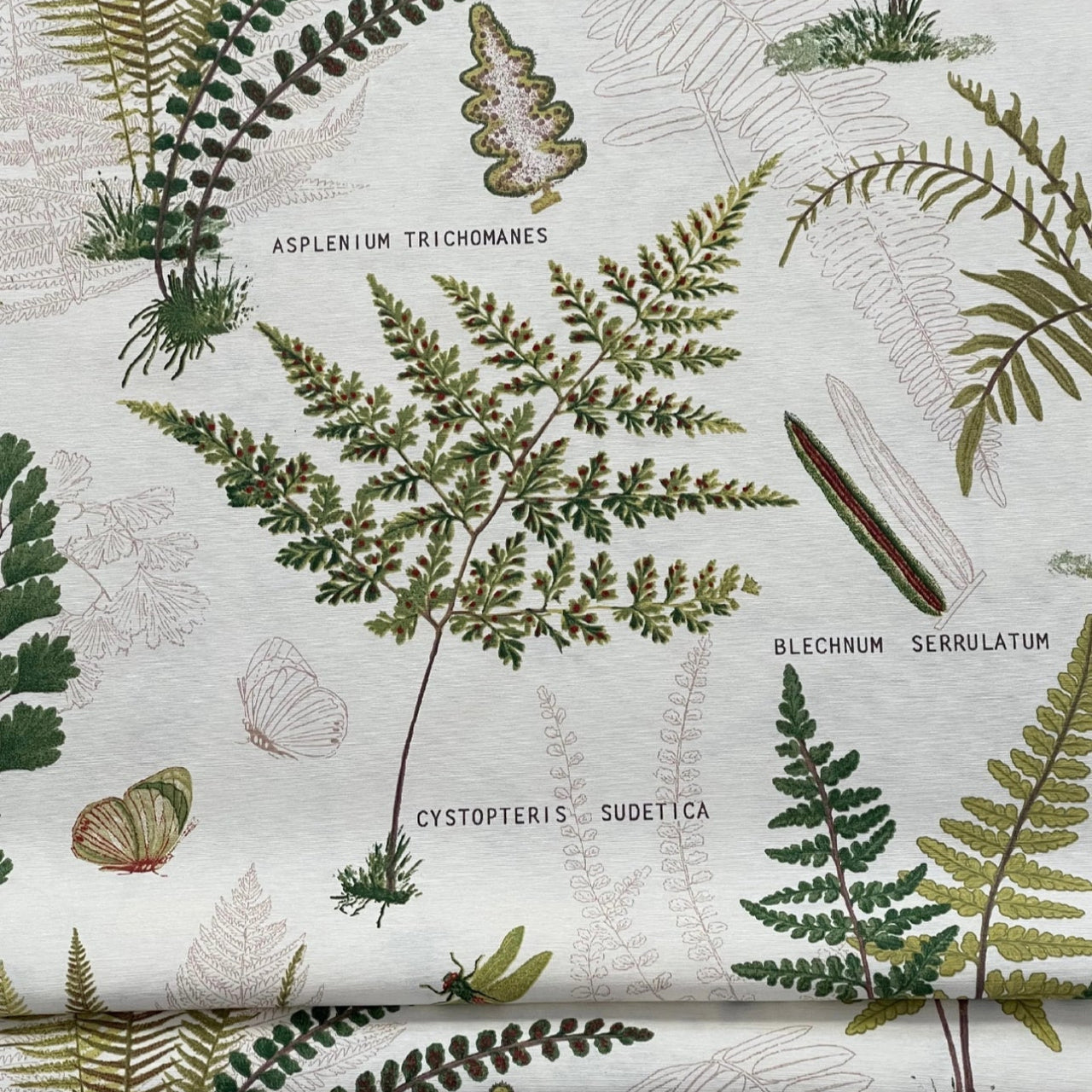 Ferns and butterflies on white cotton