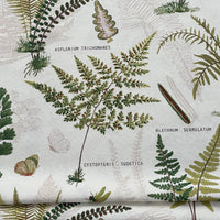 Thumbnail for Ferns and butterflies on white cotton