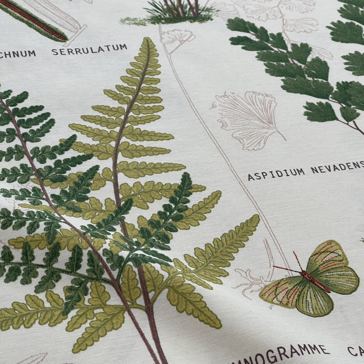 Garden theme fabric with butterflies

