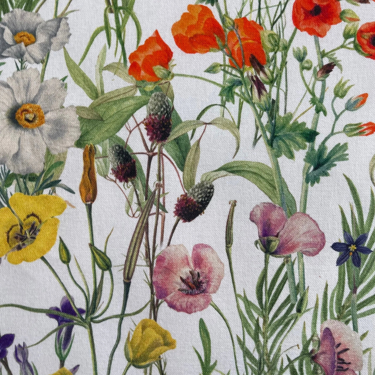 Pattern of colorful flowers on a white background