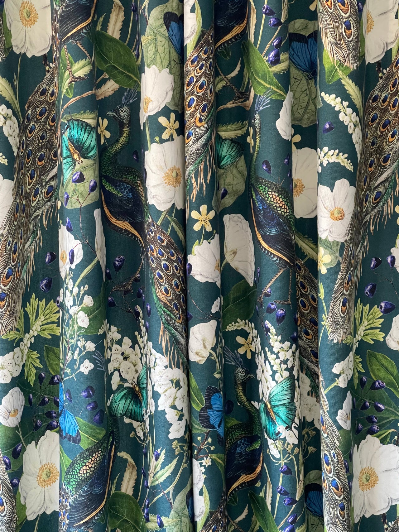 Exotic peacock curtain with botanical design.