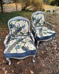 Thumbnail for Pair of ornate chairs with peacock pattern fabric in an outdoor setting.