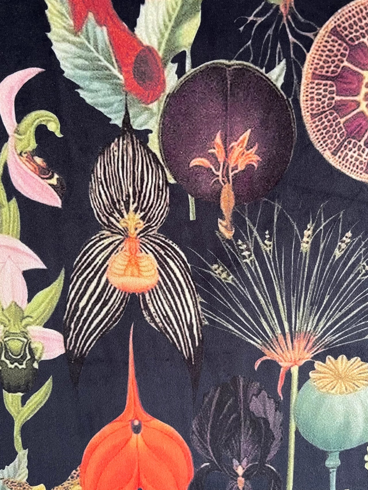 Bold sunflower and wildflower fabric