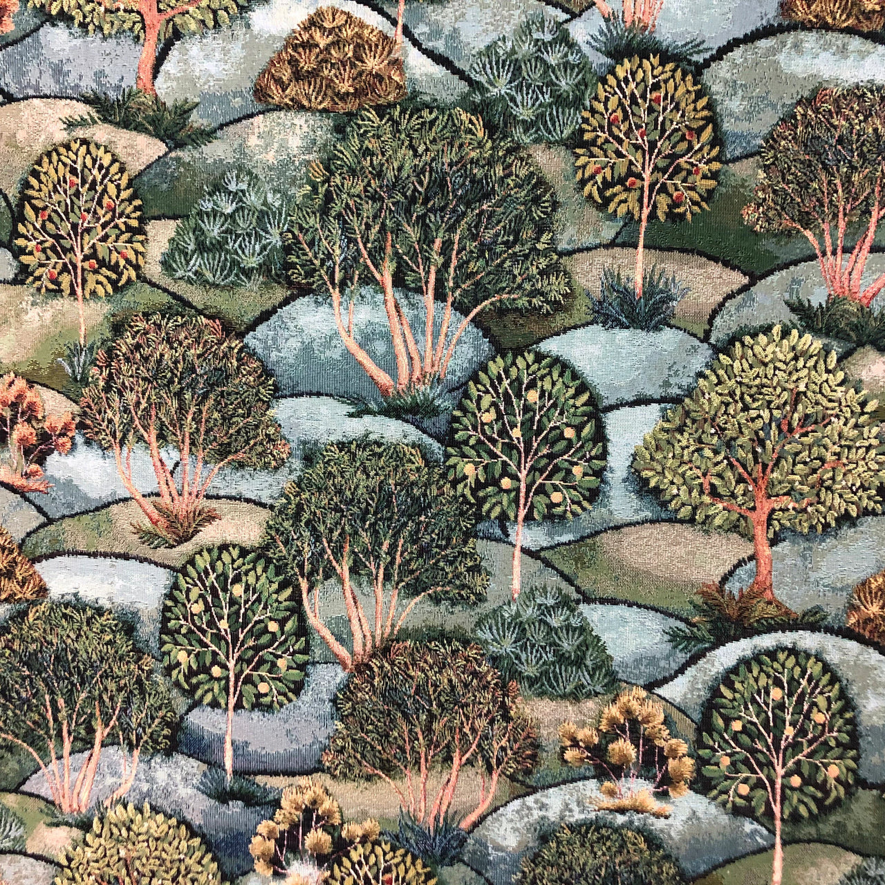 Pattern of trees and rocks in a natural setting