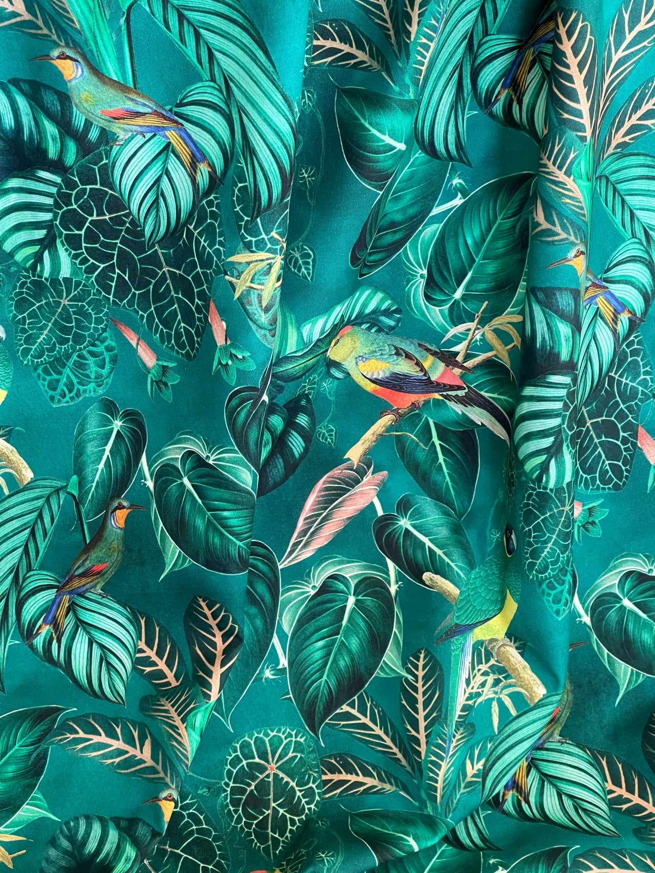 Green Pair Curtains / Calathea Plants and Parrots Birds - Botanical Cotton Fabric / Custom - Made to Measure - Bespoke Home Decor