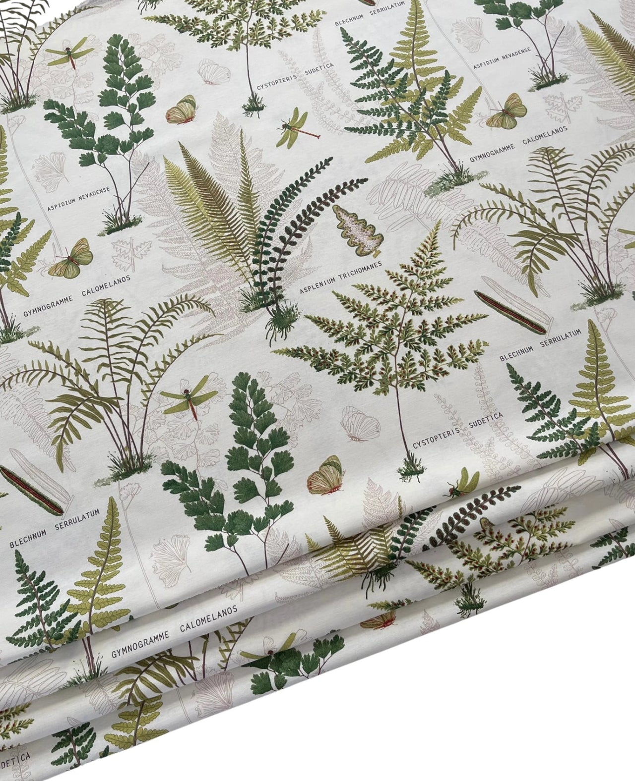 Natural theme print on cotton