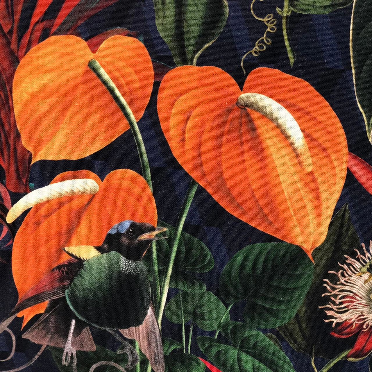 Anthurium flower cotton print with dark foliage