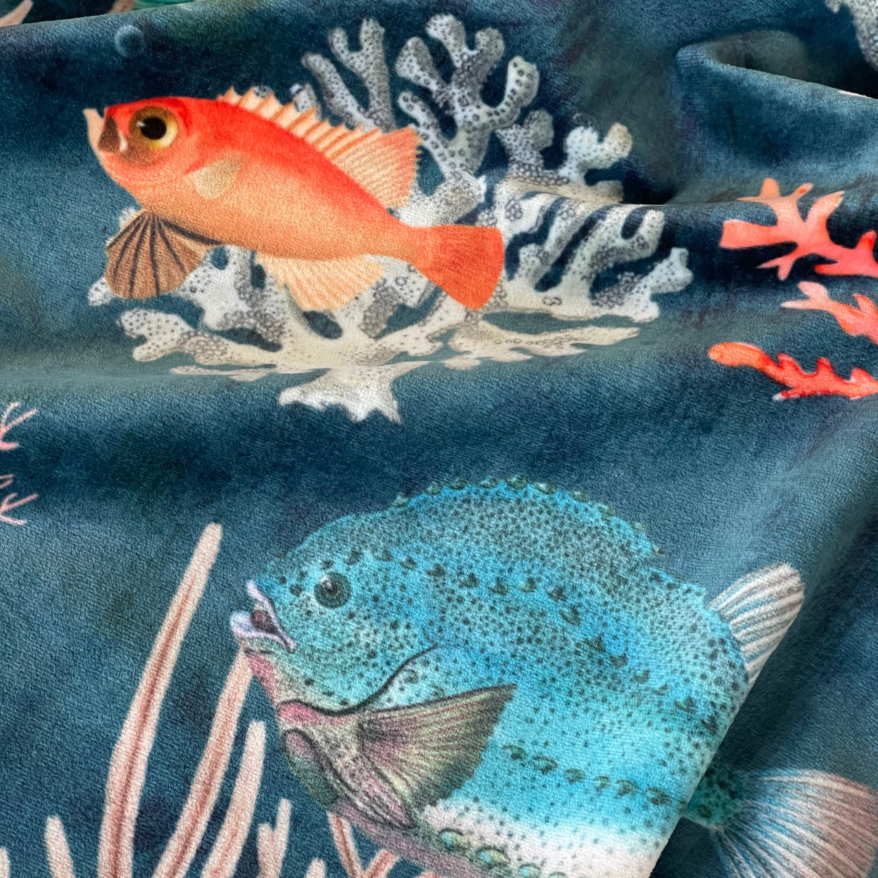 Nautical velvet fabric with colorful reef fish