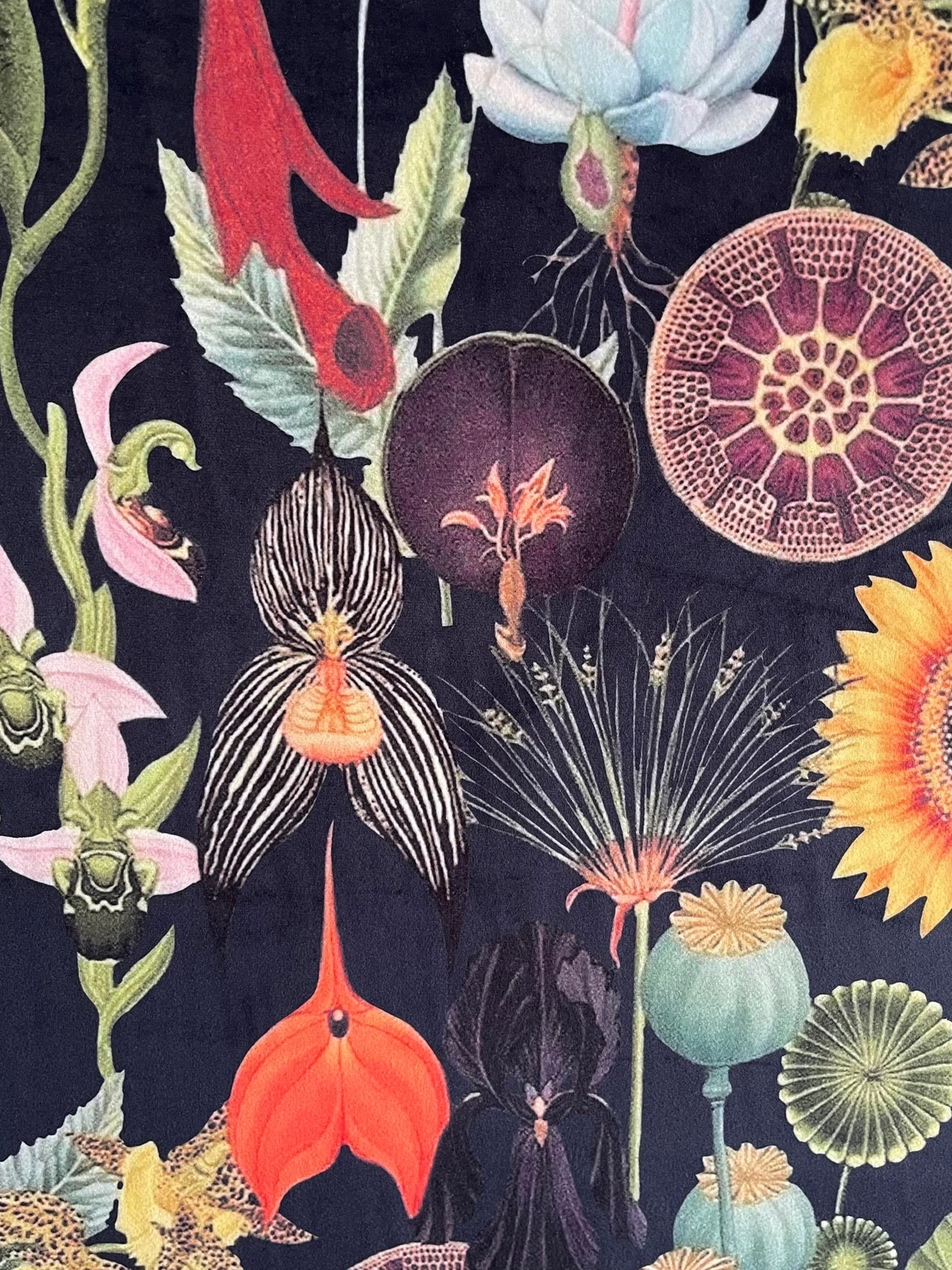 Close-up of a colorful floral pattern with various flowers on a dark background