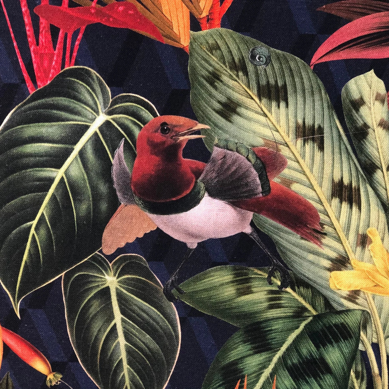Home décor cotton fabric with exotic flora and fauna