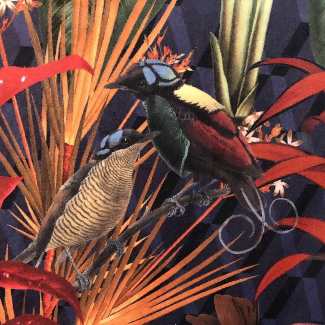 Jungle birds velvet for luxury decor