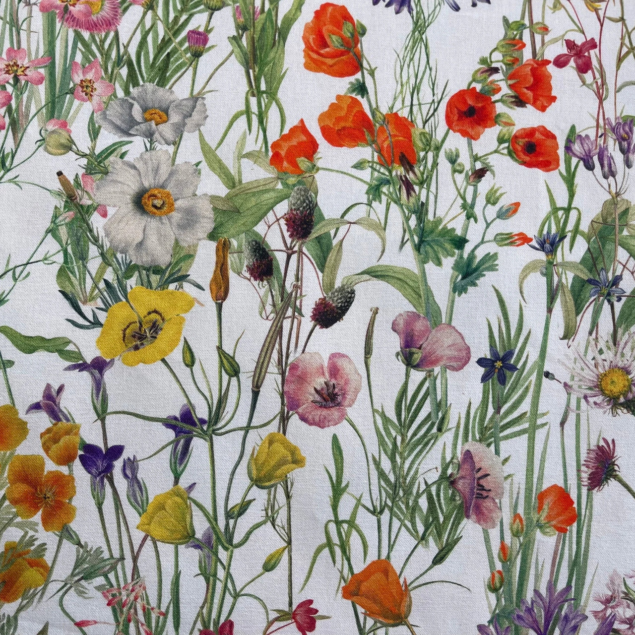 Pattern of various wildflowers on a light background