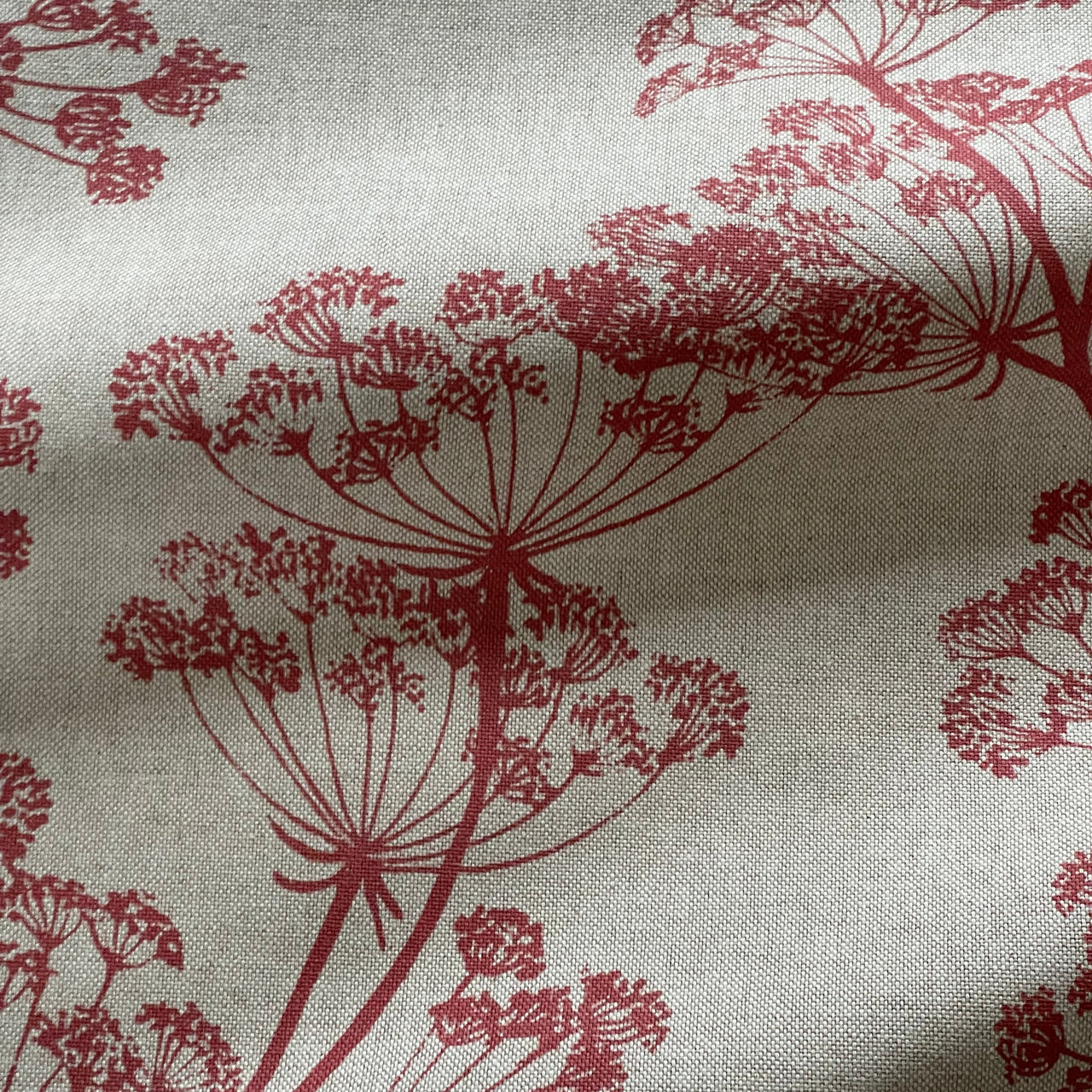 Cow parsley botanical fabric for Roman blinds and window treatments