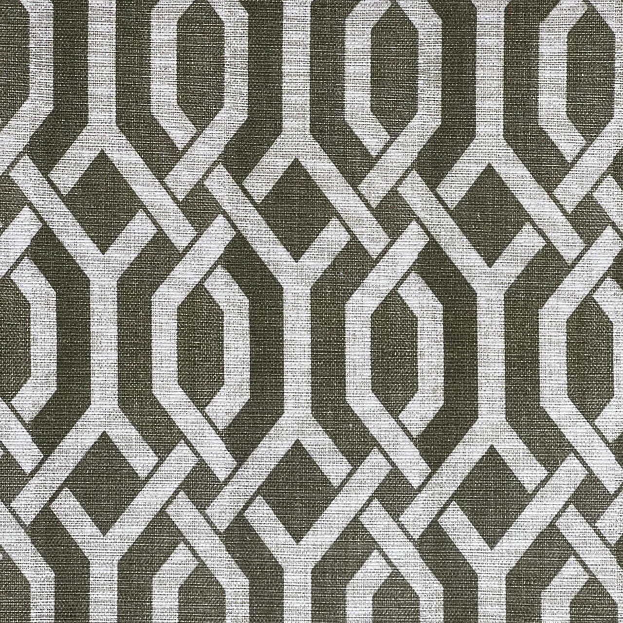 Organic-inspired lattice fabric in olive – versatile for blinds and light upholstery