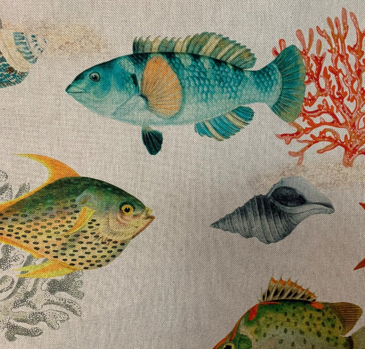 Marine life-inspired cotton material