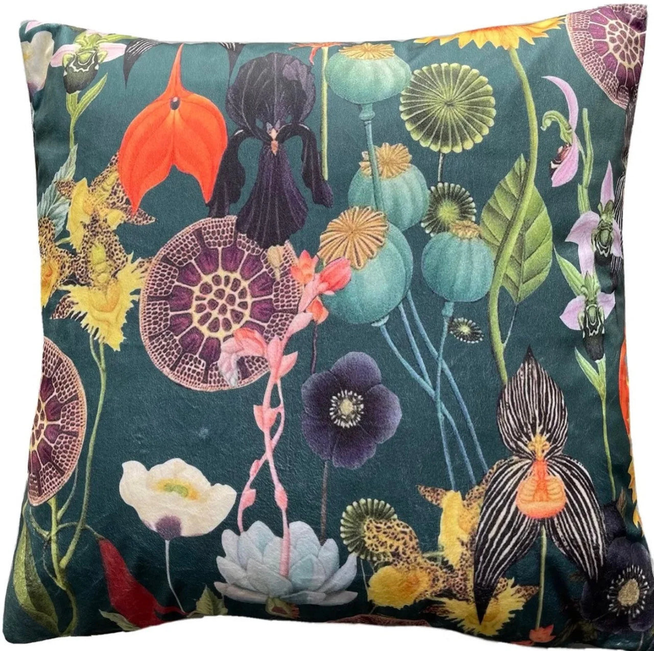 Poppy and sunflower botanical velvet cushion

