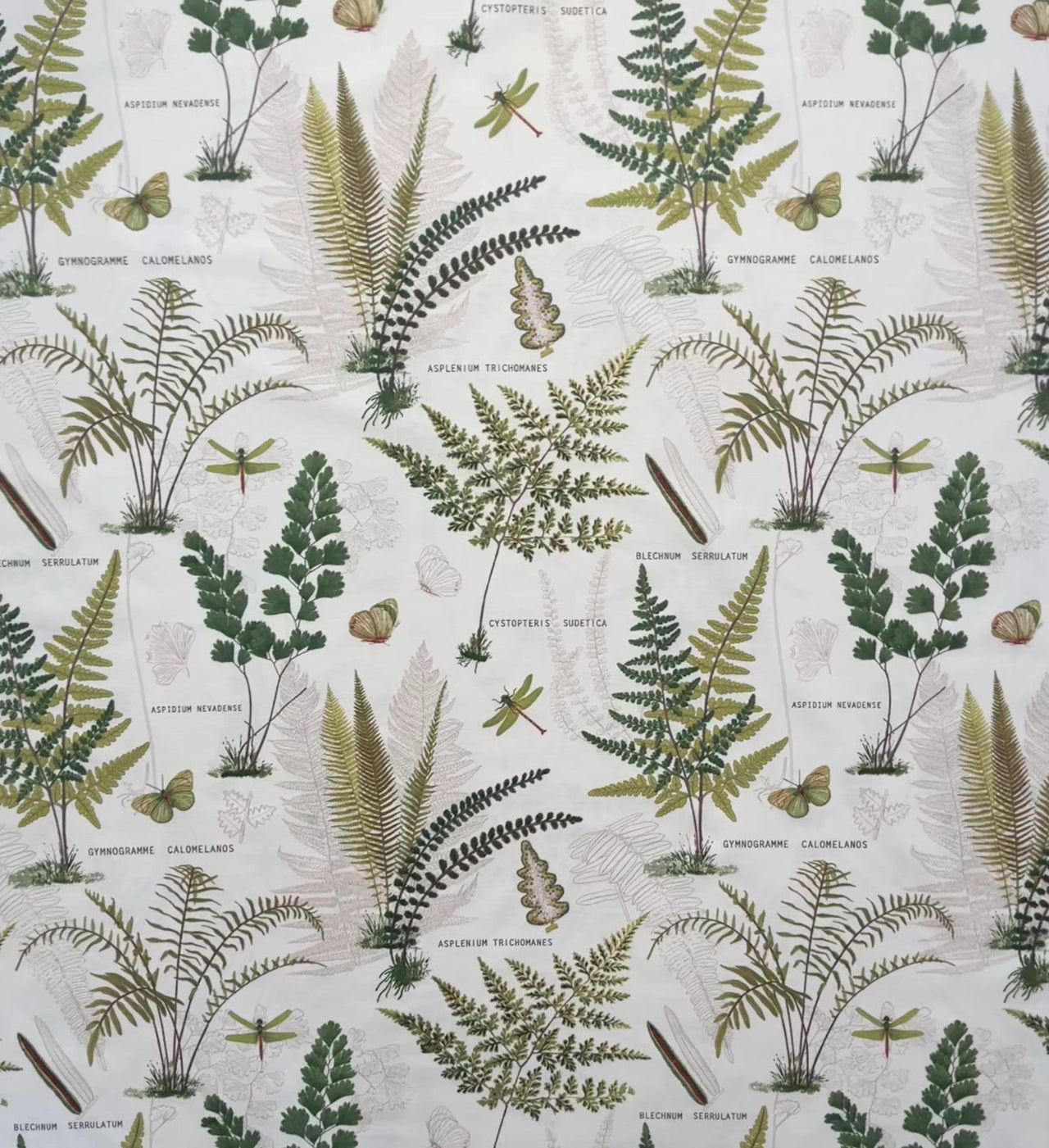 Fern pattern in natural interior design