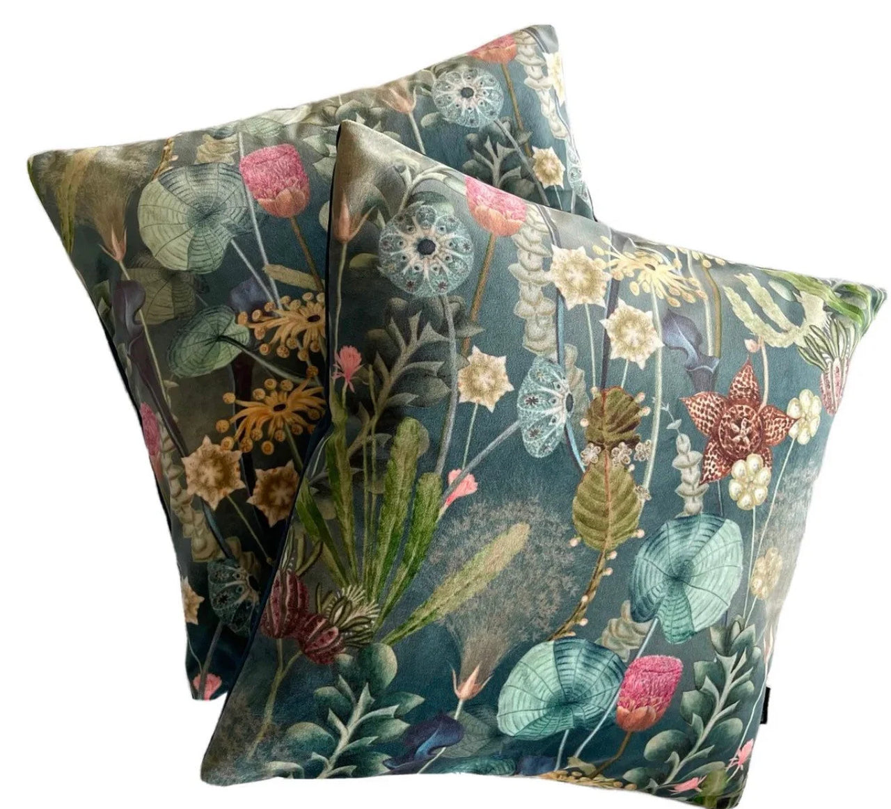Two floral-patterned pillows on a white background
