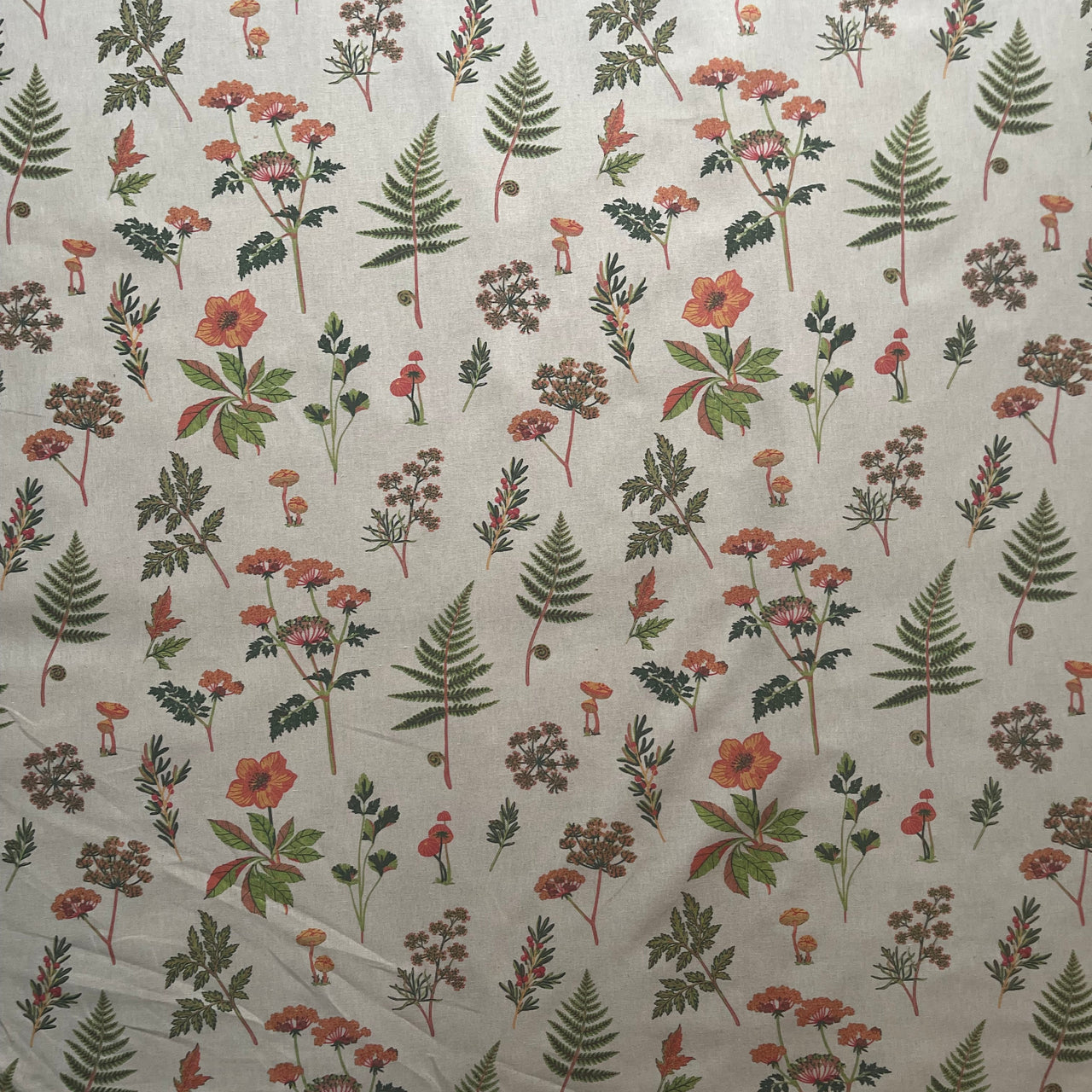 Detailed green fern leaves and curled fronds printed on soft grey woodland furnishing fabric.