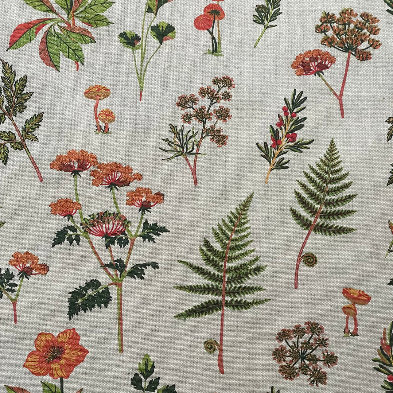 Grey and green botanical furnishing fabric with orange flowers, red accents and delicate woodland foliage.