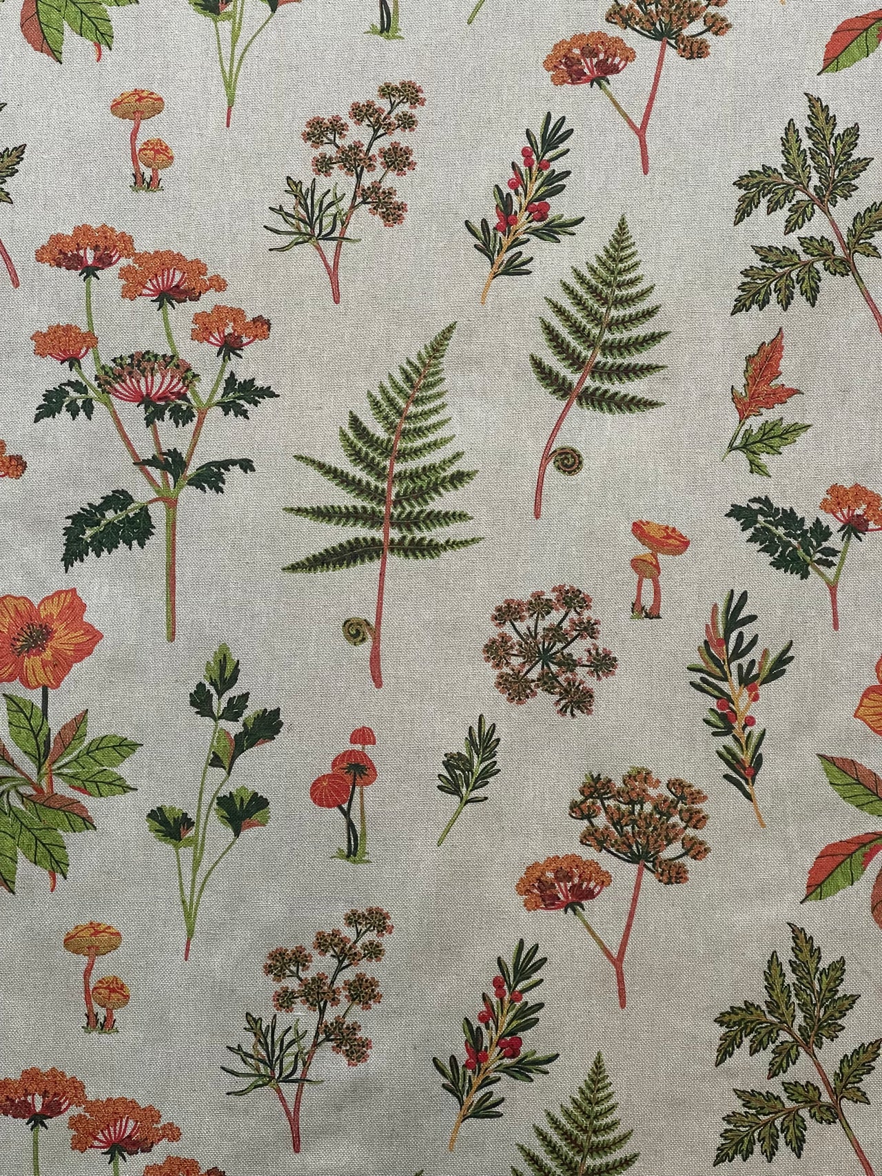 Woodland botanical print showing small mushrooms, green fern fronds and scattered flowers on a pale grey background.