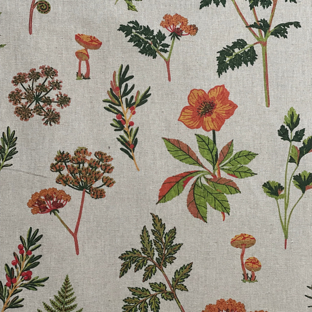Orange and rust-coloured wildflowers with dark green leaves on grey botanical curtain fabric
