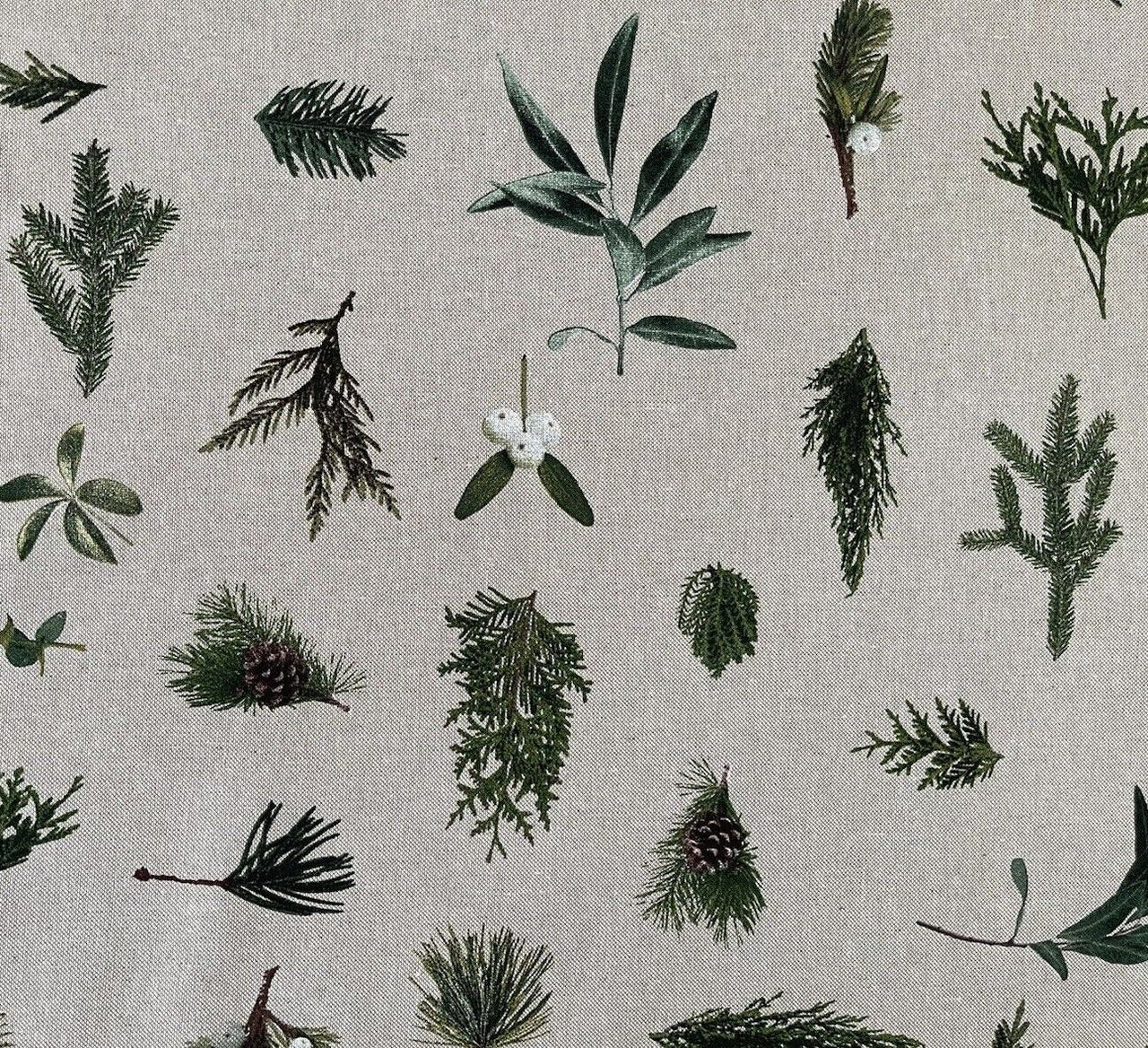 Mistletoe Cotton Fabric - Green Pine Tree Leaves Print, Christmas Sewing Material for Home Decor & Crafts