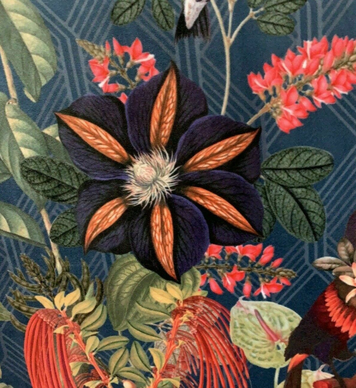 Toucan Colibri Jungle Fabric By The Meters Blue Sewing Material Art Deco Botanical Velvet Textile