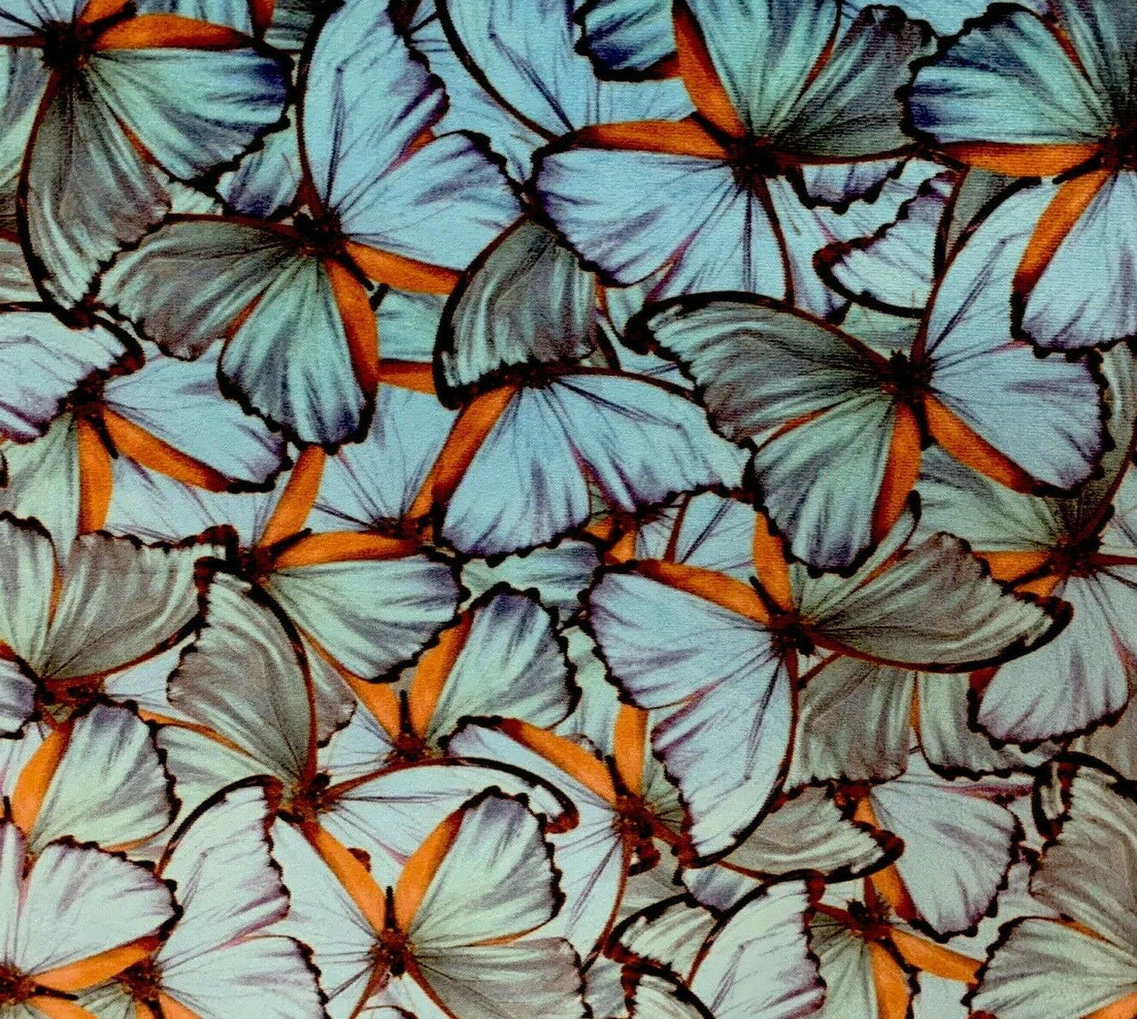 Butterflies Upholstery Fabric by Meter Turquoise Velvet Sewing Material Per Meters
