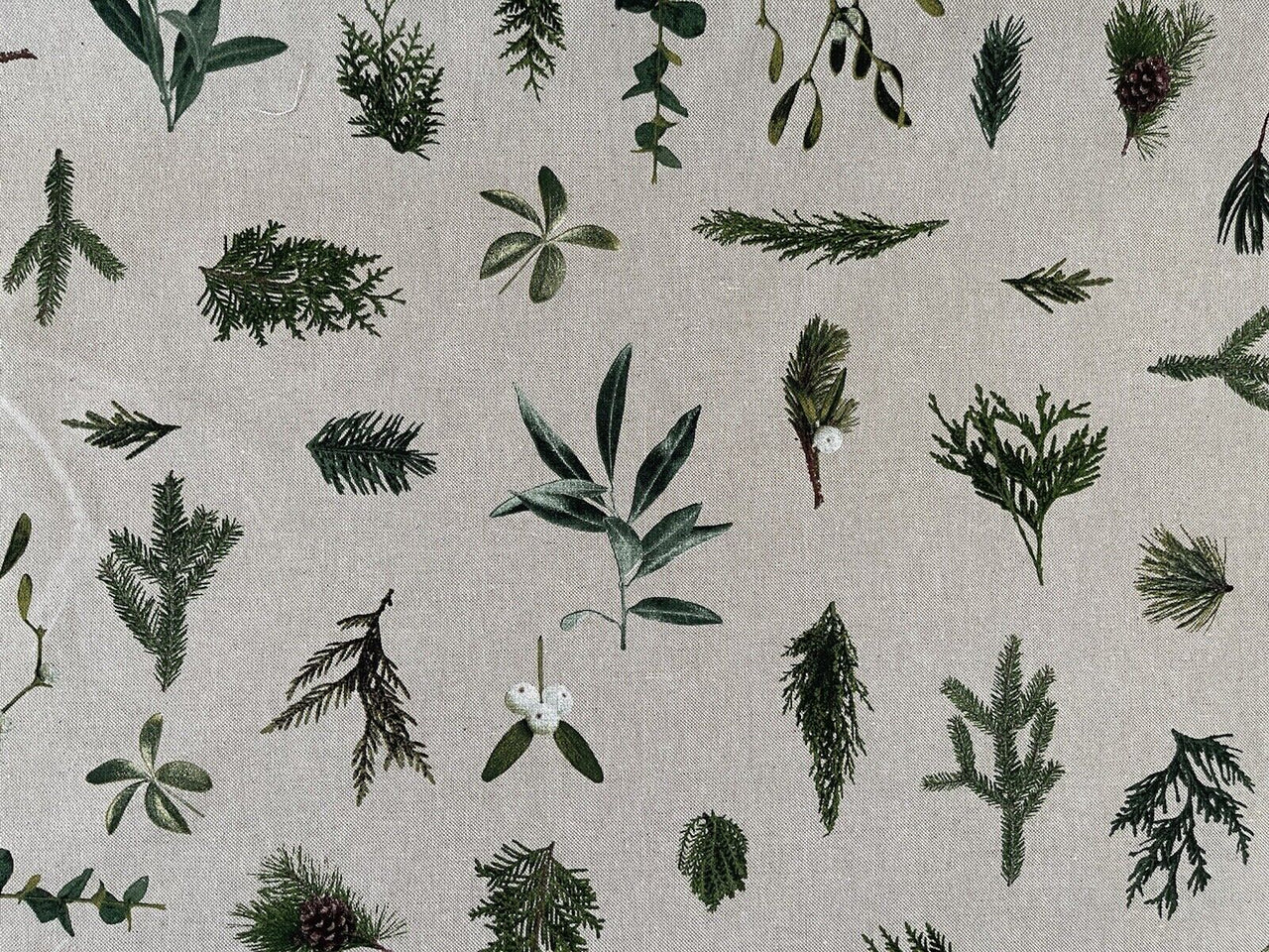 Mistletoe Cotton Fabric - Green Pine Tree Leaves Print, Christmas Sewing Material for Home Decor & Crafts