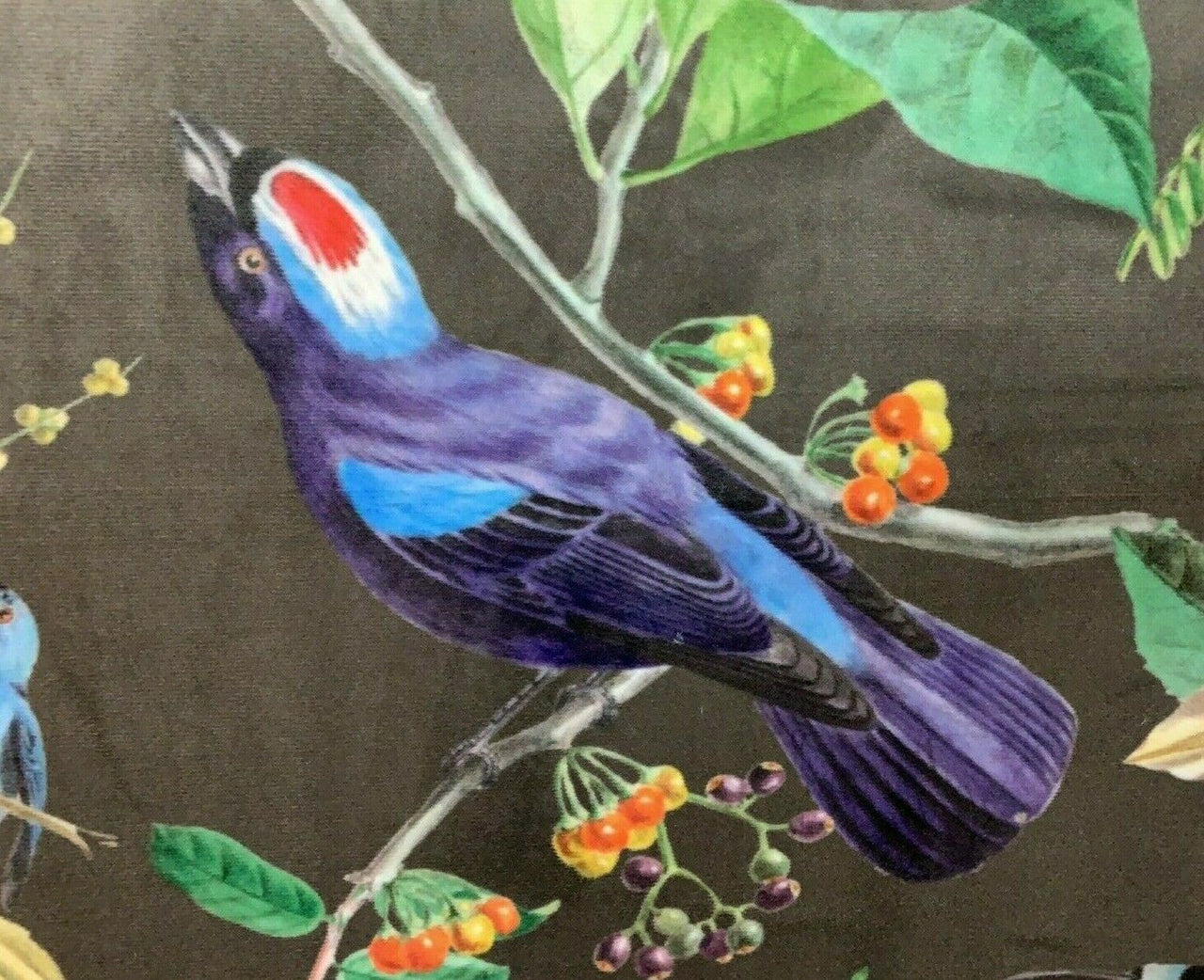 Italian Velvet Toffee Red Blue Botanical Tropical Birds Digital Print Exotic