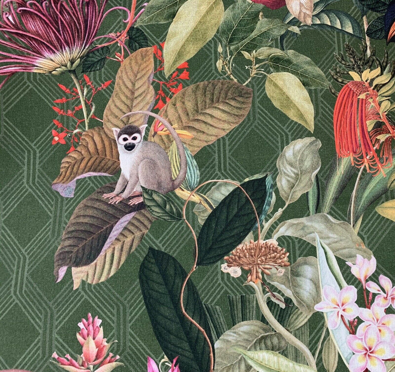 Monkey Toucan Colibri Green Botanical fabric by yard/meter Tropical Sewing Material Red Flowers Textiles Green Forest Botanical Printed Cotton