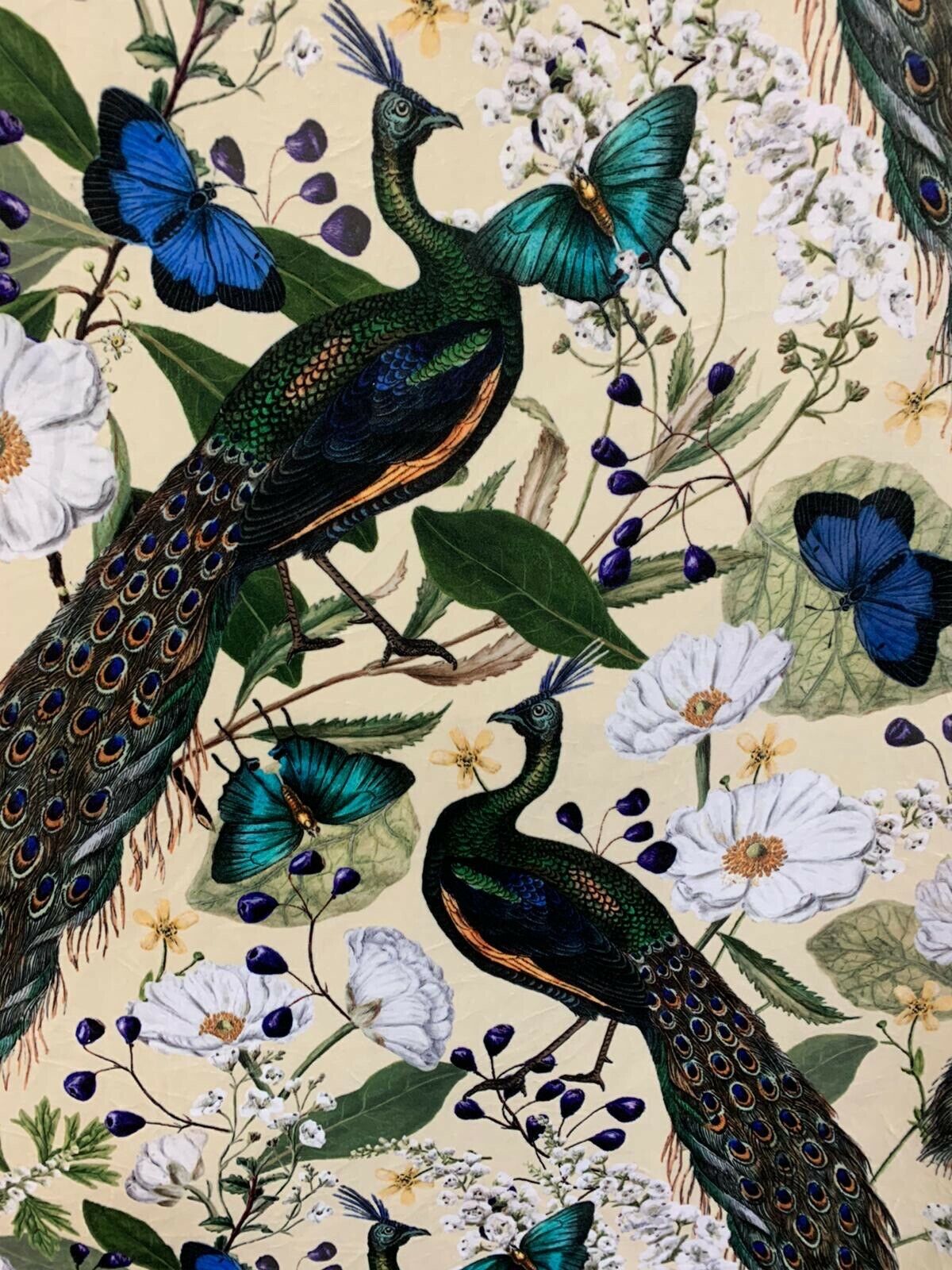 Peacock Light Yellow Velvet Butterflies Birds Pattern Sewing Material Botanical Textile Floral Italian