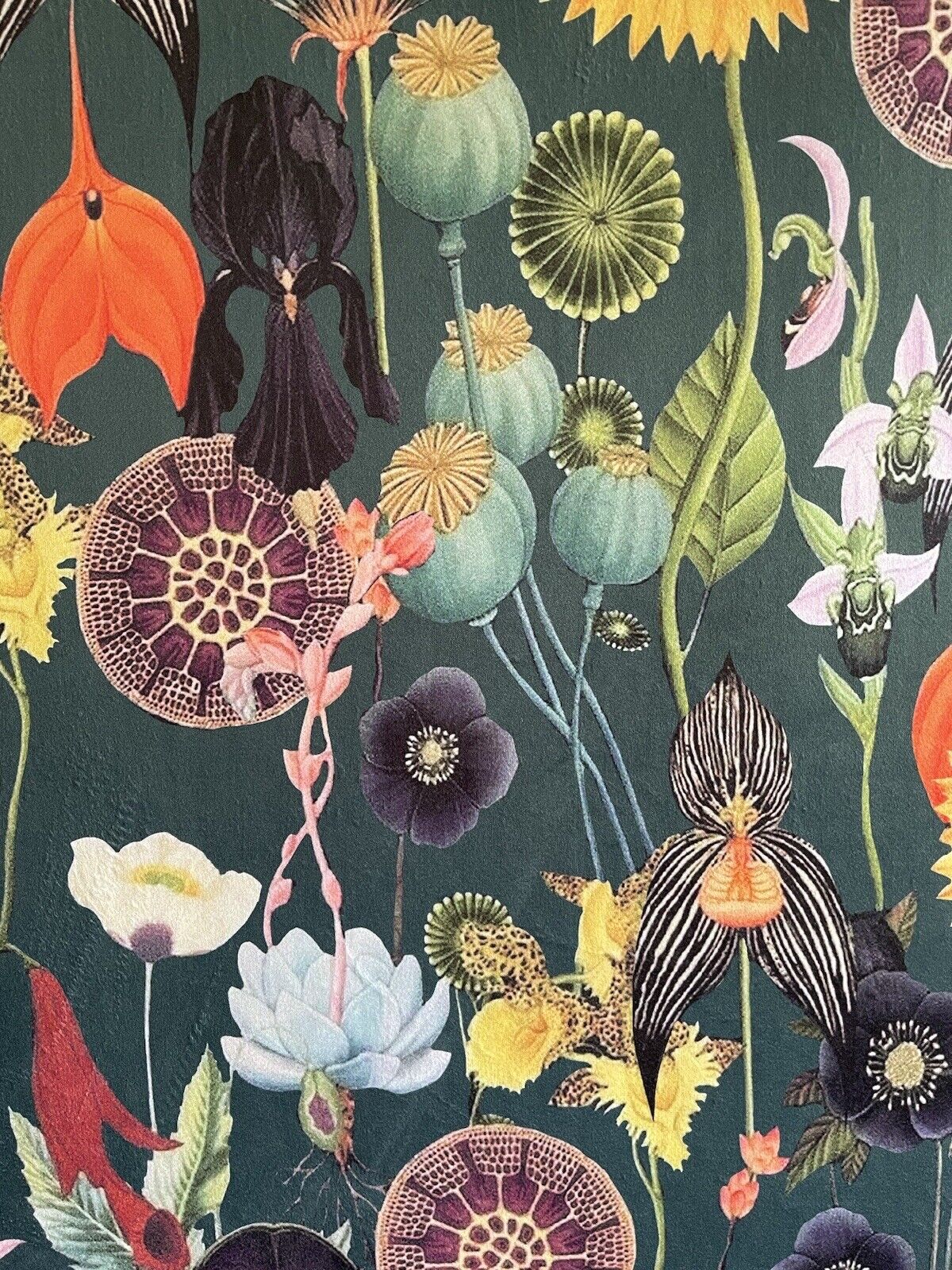 Dark Green Botanical Velvet Poppy Sunflower Fabric - Sold By Meter