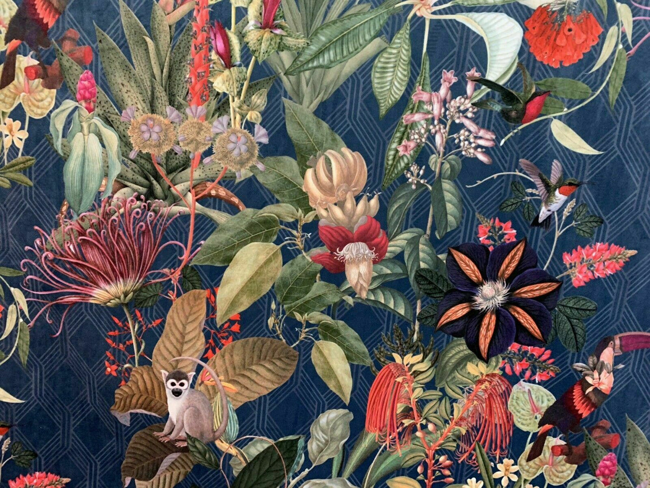 Toucan Colibri Jungle Fabric By The Meters Blue Sewing Material Art Deco Botanical Velvet Textile