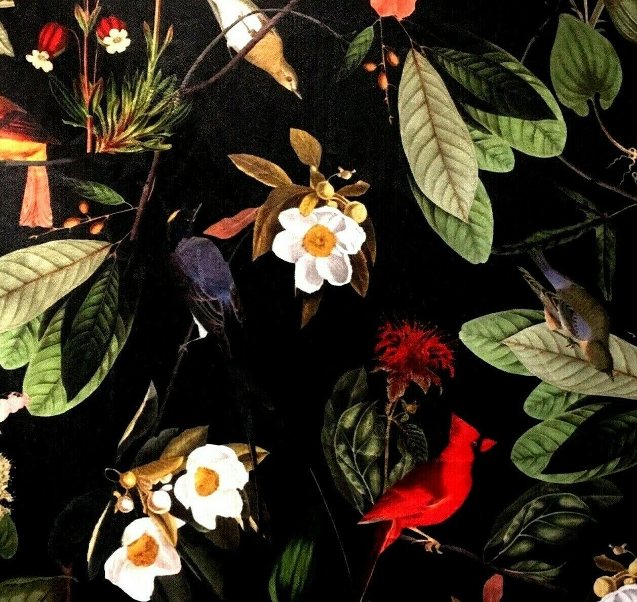 Black Italian Velvet Printed Passiflora Green Red Birds Botanical Sold by Meter