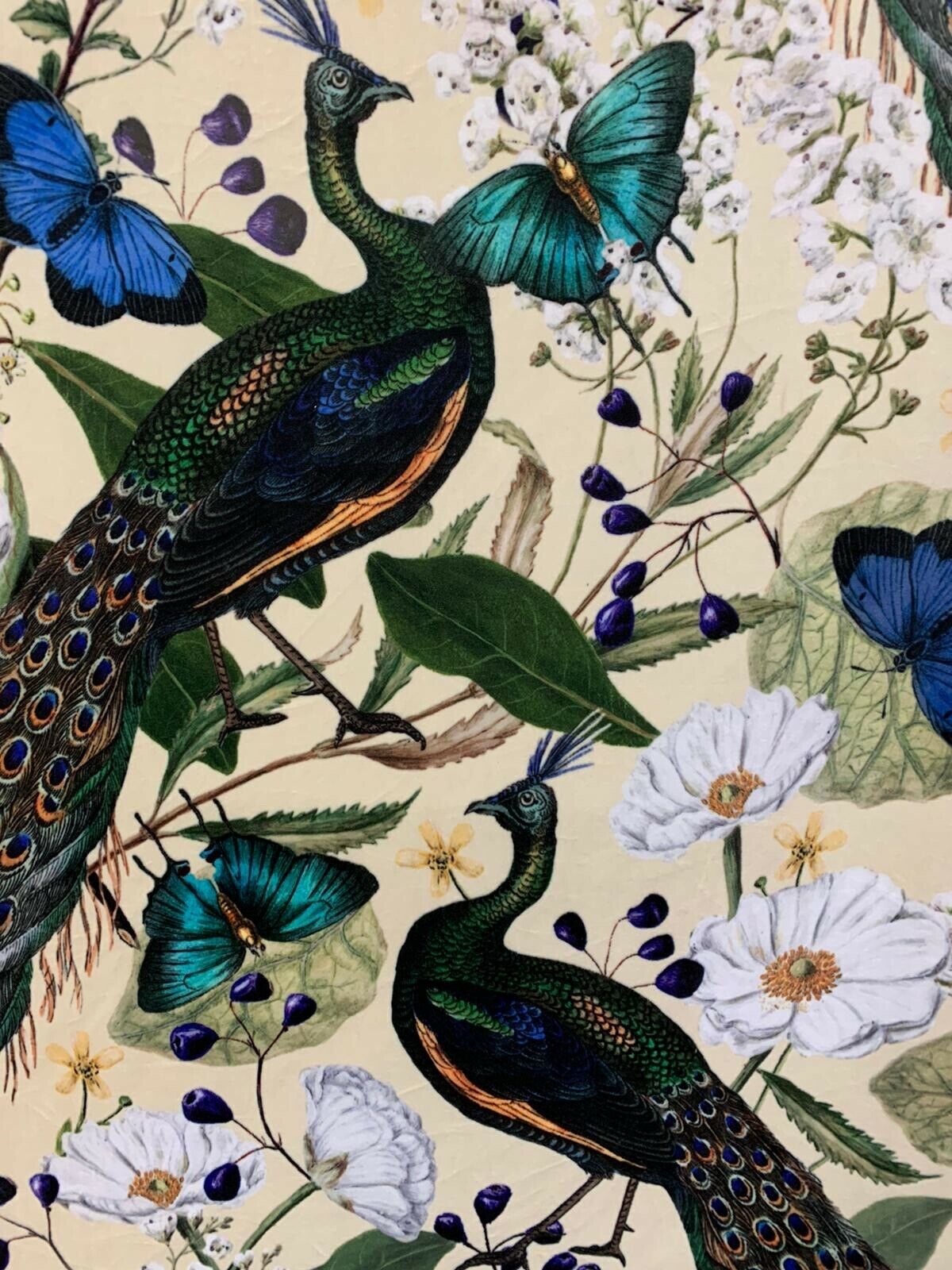 Peacock fabric By the Mater Light Yellow Velvet Butterflies Birds Pattern Sewing Material Botanical Textile Floral Italian Velvet for upholstery pillows cushions arts crafts