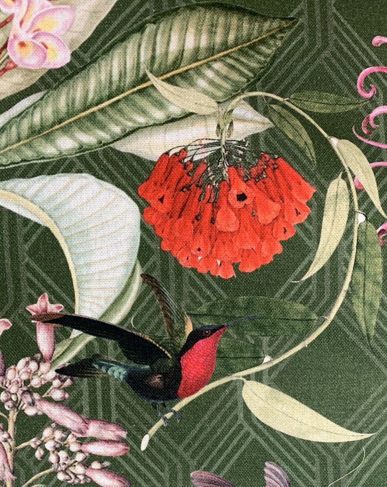 Monkey Toucan Colibri Green Botanical fabric by yard/meter Tropical Sewing Material Red Flowers Textiles Green Forest Botanical Printed Cotton